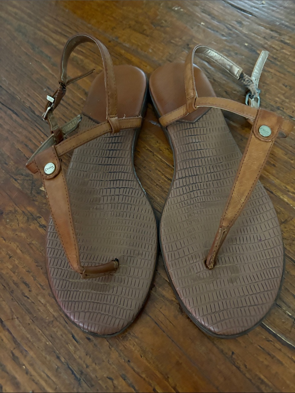 Circus by Sam Edelman Brown T-Strap Leather Sandals